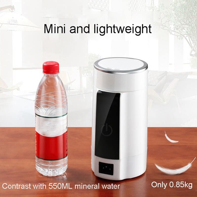 Dual Voltage Electric Kettle Travel Hot Water Heating Cup Heater Stew Slow Cooker Portable Boiler Thermal Tea Pot