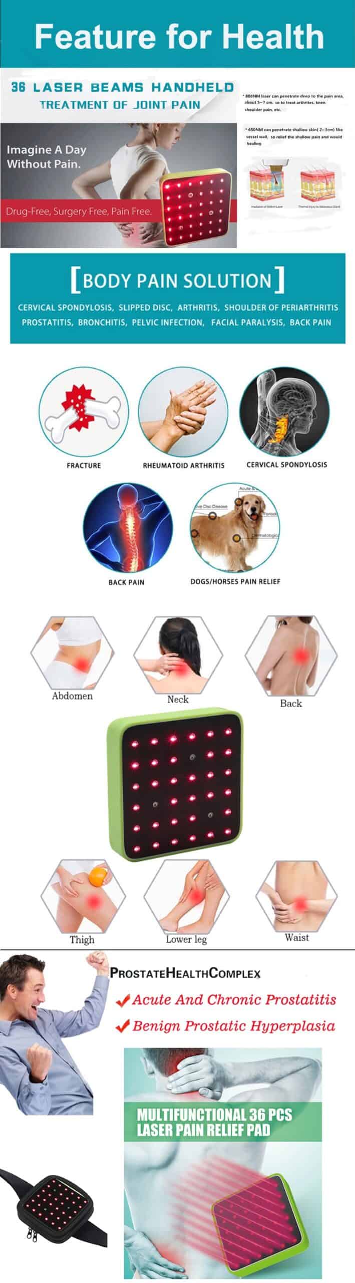 Veterinary Dog and Horse Cat Animals Pain Relief LLLT Therapy Device 808nm infrared Laser Safety Cold Laser