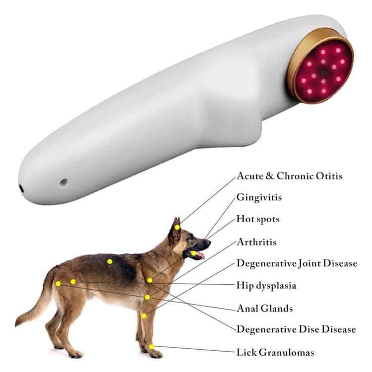 New Veterinary Dog and Horse Cat Animals Pain Relief LLLT Therapy Device for 808nm Infrared Laser Safety Cold Laser