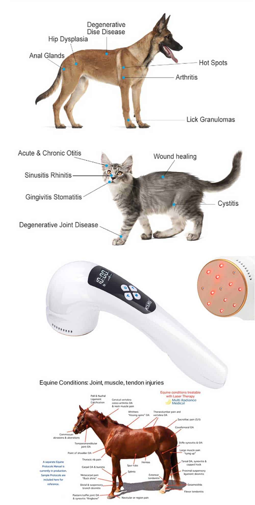 Veterinary Dog and Horse Cat Animals Pain Relief LLLT Therapy Device for 808nm infrared Laser Safety Cold Laser