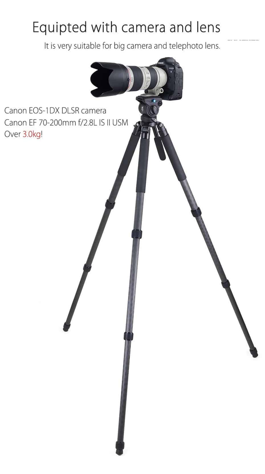 INNOREL RT80C Carbon Fiber Camera Tripod Professional Birdwatching Heavy Duty Tripod 65mm Bowl Adapter for DSLR Video Camcorder